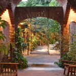 SHAHID KAREEM RESIDENCE - 23 - Rear Garden